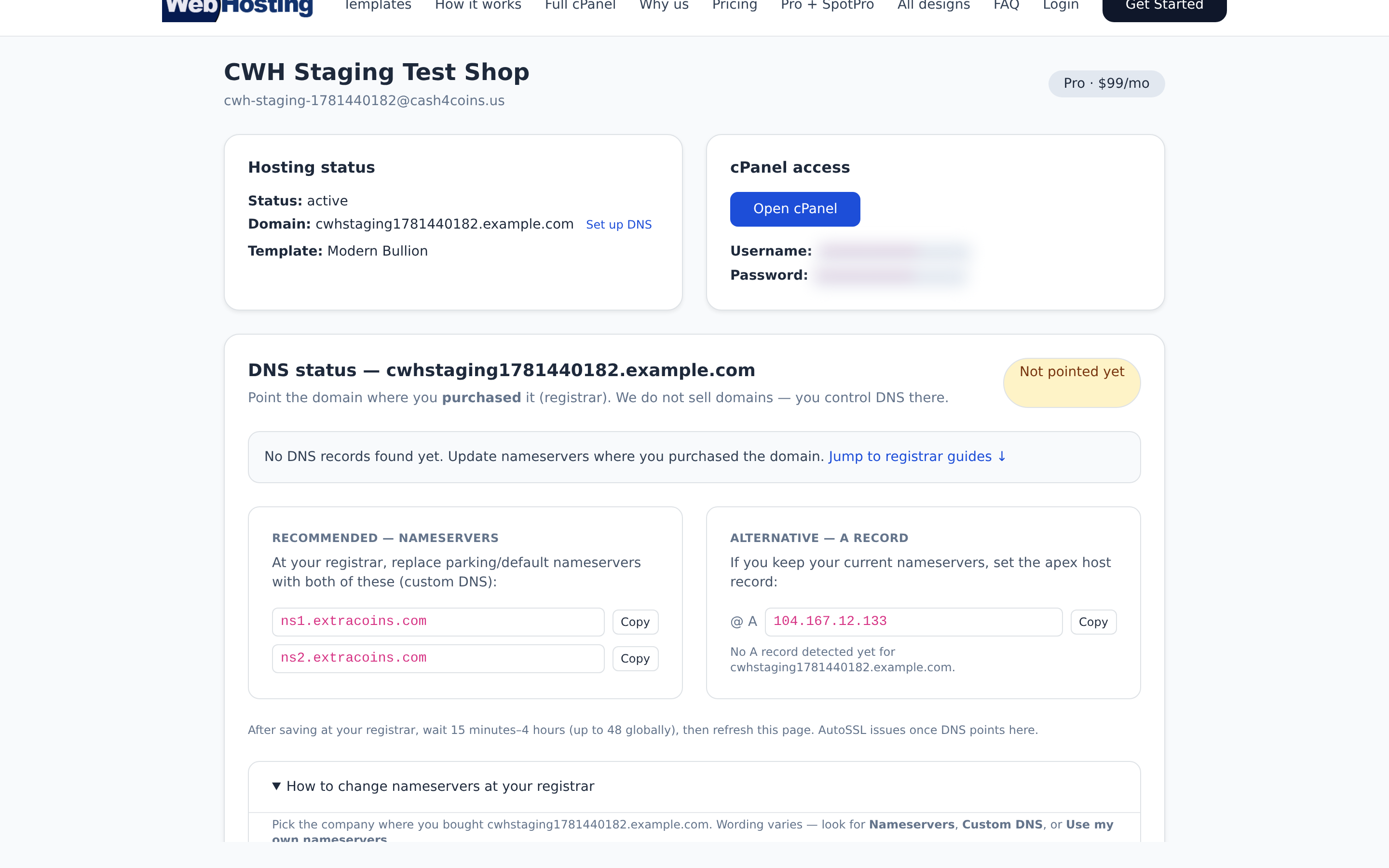 CoinWebHosting portal — full cPanel on your domain.
