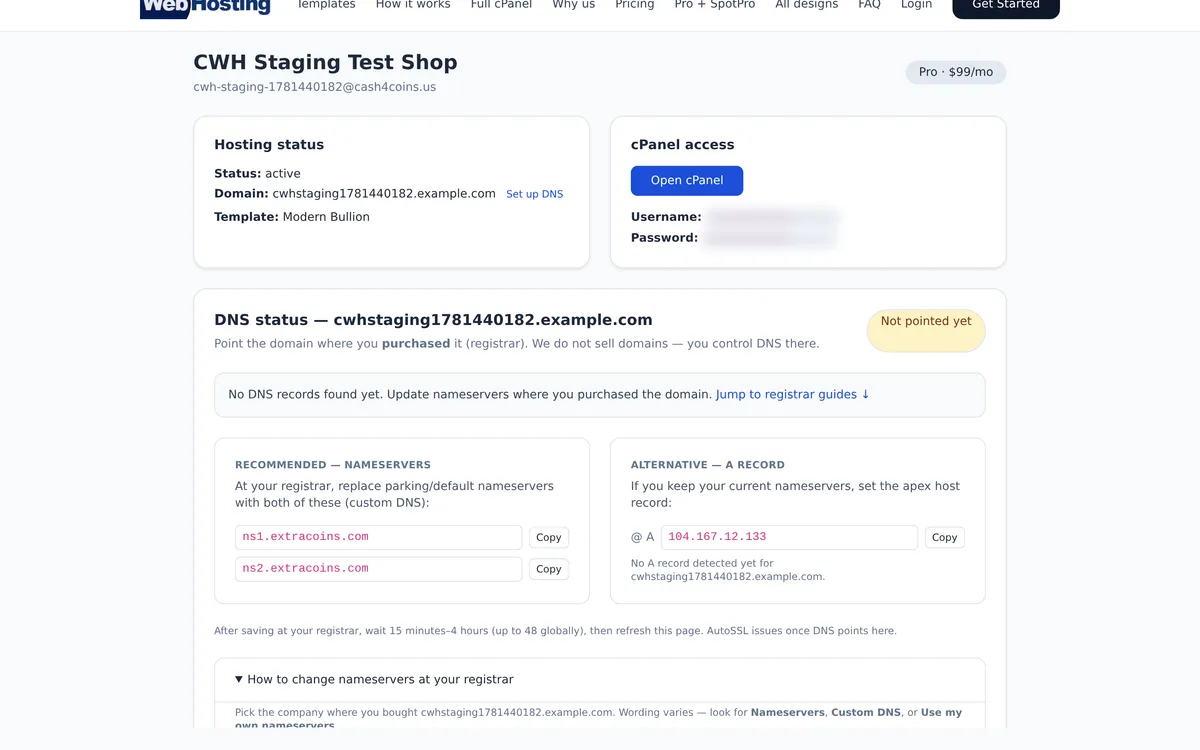 CoinWebHosting portal — DNS, cPanel, and plan management