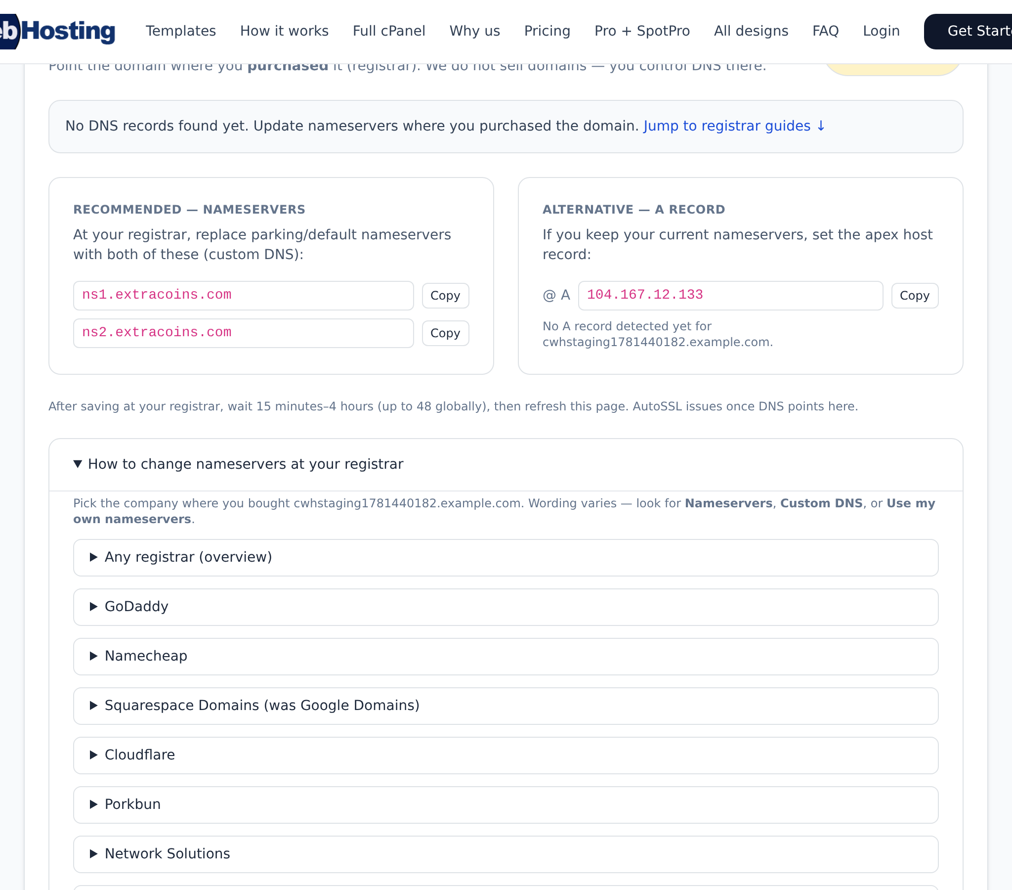 DNS setup section in the CoinWebHosting portal.