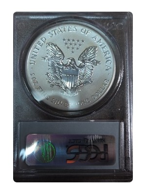 2006-P American Silver Eagle Reverse PR — photo 2