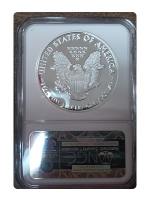 2008-W American Silver Eagle PR DCAM PR70 — photo 2