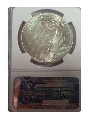 1923 Peace Dollar MS65 — photo 2