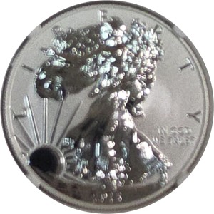 2013-W American Silver Eagle, Reverse Proof PR — photo 2
