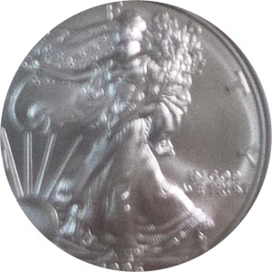 2006-W American Silver Eagle, Burnished — photo 2