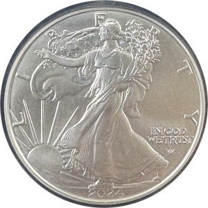 2024 American Silver Eagle MS70 — photo 2