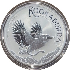 Premium 1 oz Silver Bullion