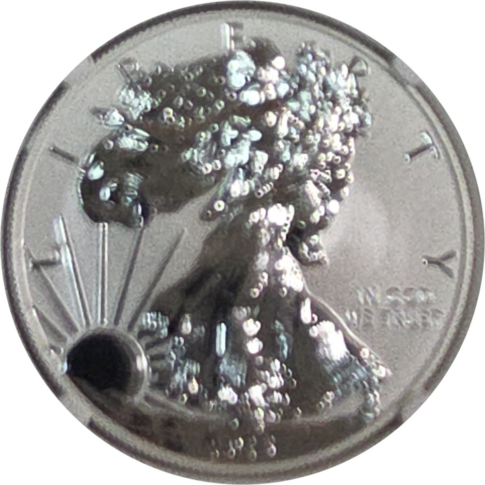 2013-W American Silver Eagle, Reverse Proof PR photo 2
